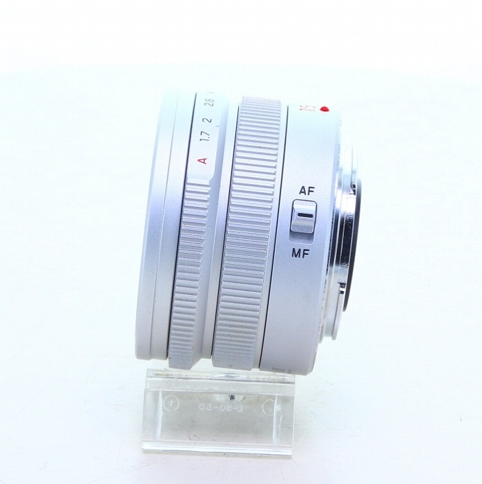 パナソニック DGズミルックス 15/1.7 シルバー