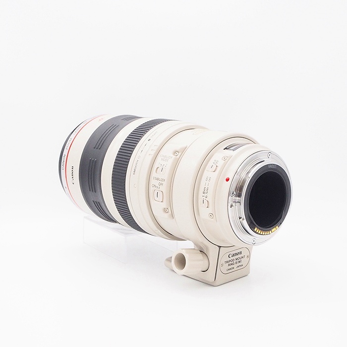キヤノン EF100-400/4.5-5.6L IS USM