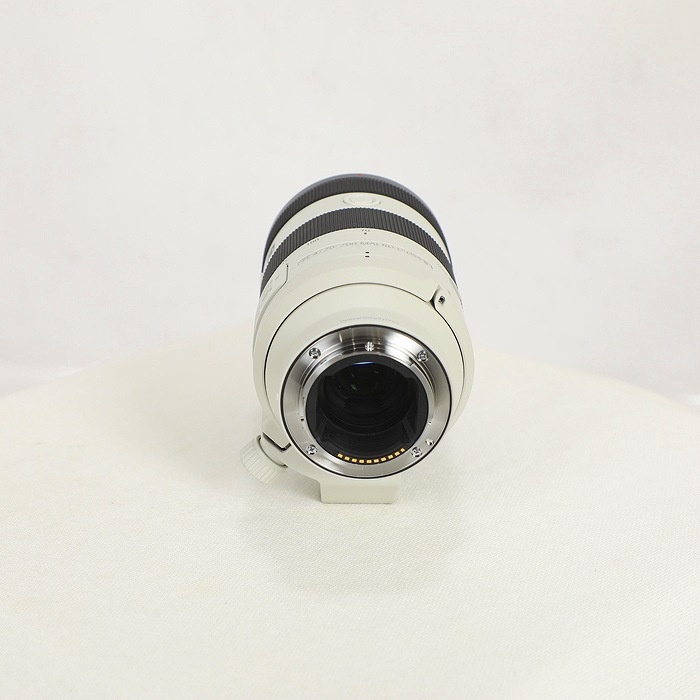 ソニー FE70-200/F4 MACRO G OSS II