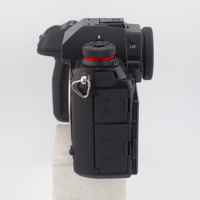 パナソニック DC-S1