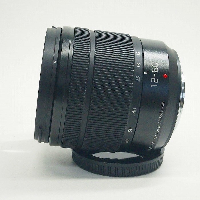 パナソニック Gバリオ 12-60/3.5-5.6 ASPH POWER OIS (H-FS12060)