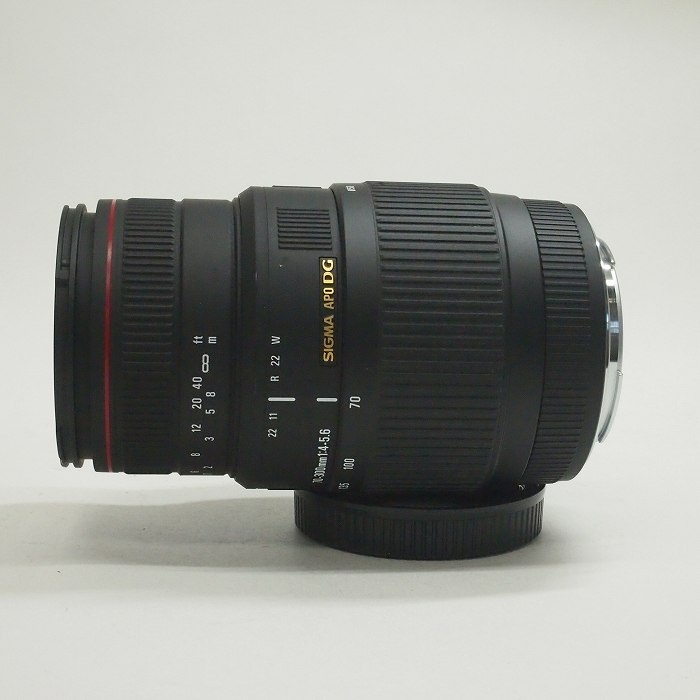 シグマ APO70-300/4-5.6 DG マクロ キヤノン用