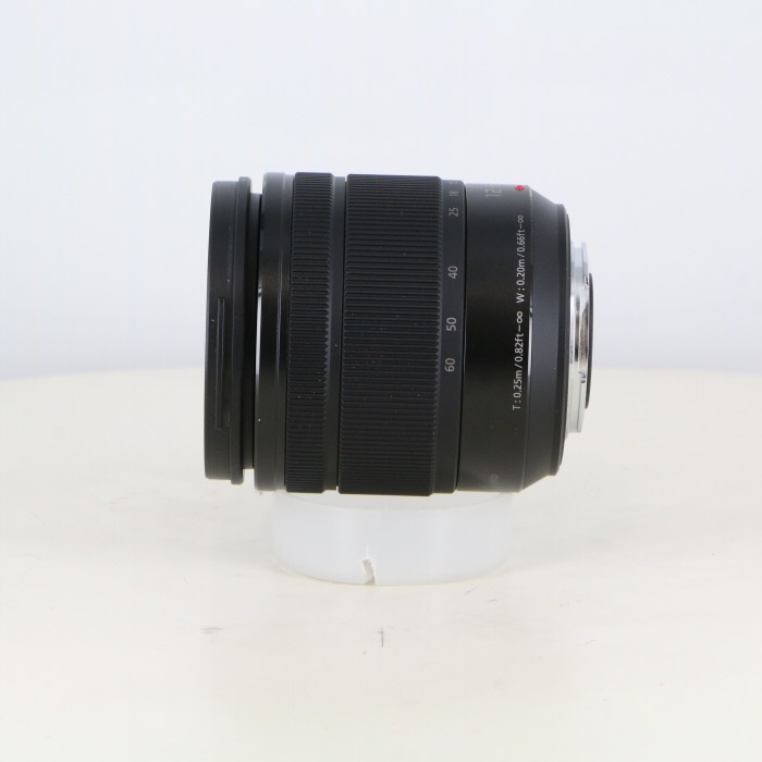 パナソニック LUMIX G VARIO12-60/3.5-5.6 ASPH. [H-FS12060]