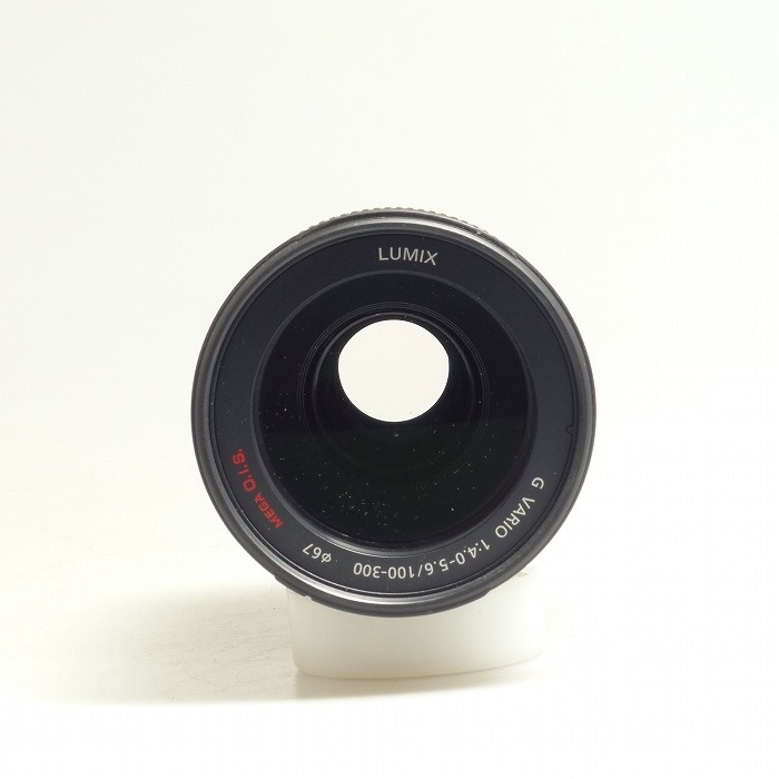 パナソニック G VARIO 100-300/4-5.6 MEGA O.I.S.
