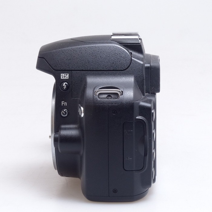 ニコン D40X ボデイ