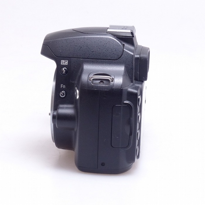 ニコン D40X ボデイ
