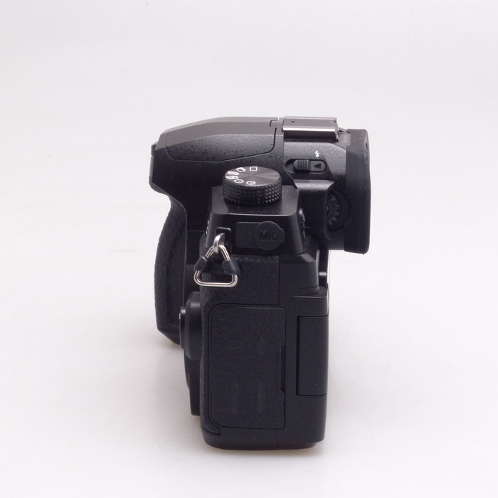 パナソニック G99 DC-G99D-K