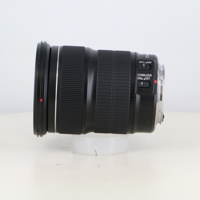 キヤノン EF24-105/3.5-5.6 IS STM