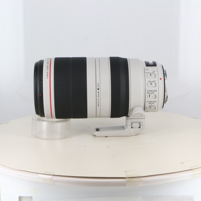 キヤノン EF100-400/4.5-5.6L IS II USM