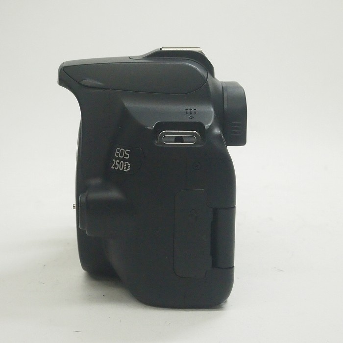 キヤノン EOS 250D ボディ (KISS X10海外モデル)