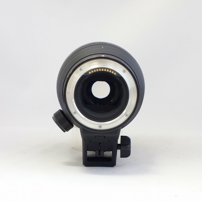 ニコン Z100-400/4.5-5.6 VR S