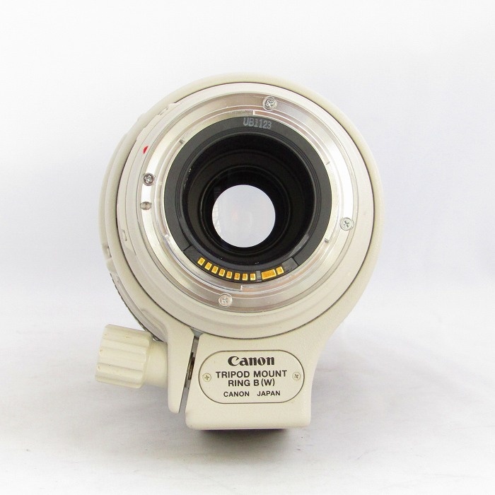 キヤノン EF100-400/4.5-5.6L IS USM