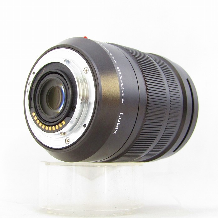 パナソニック LEICA DG VARIO-ELMARIT 12-60/2.8-4 ASPH. (H-ES12060)
