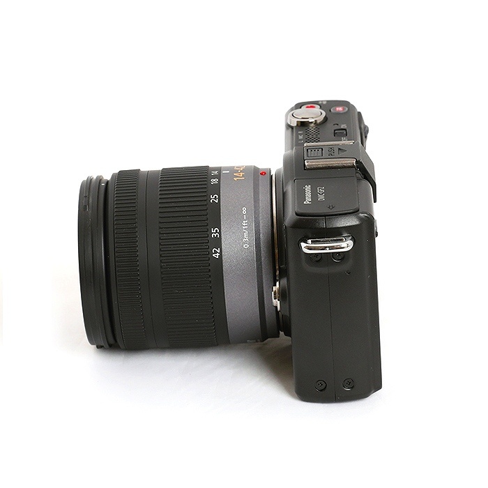 パナソニック LUMIX DMC GF2 ブラック+ G VARIO 14-42/3.5-5.6 ASPH