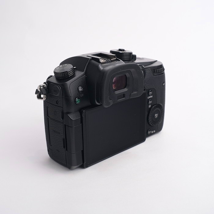 パナソニック DC-GH5