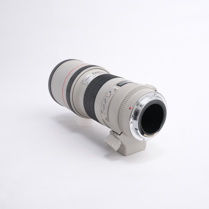 キヤノン EF300/4L USM