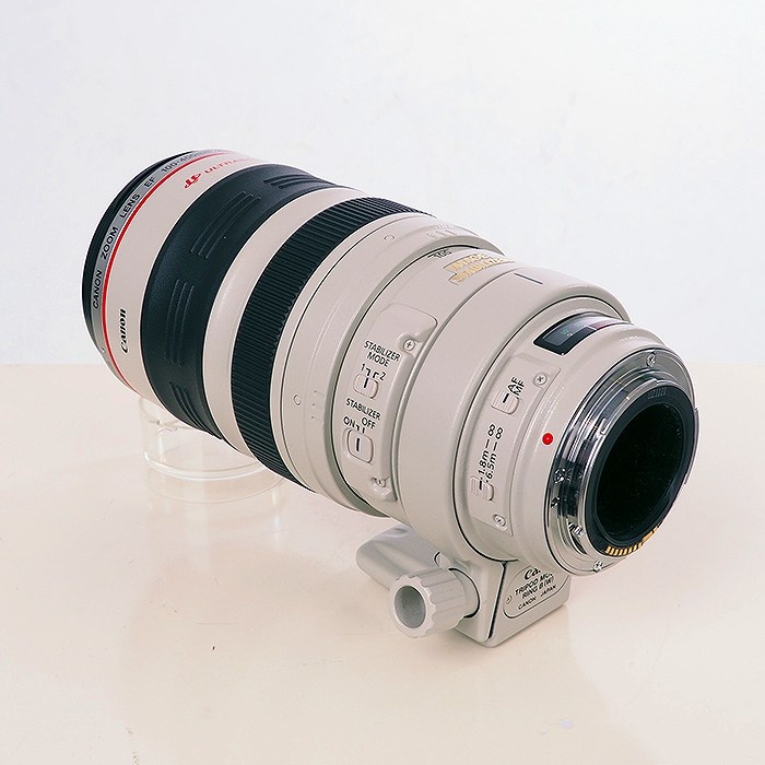 キヤノン EF100-400/F4.5-5.6L IS USM