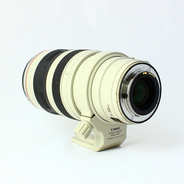 キヤノン EF28-300/F3.5-5.6L IS USM