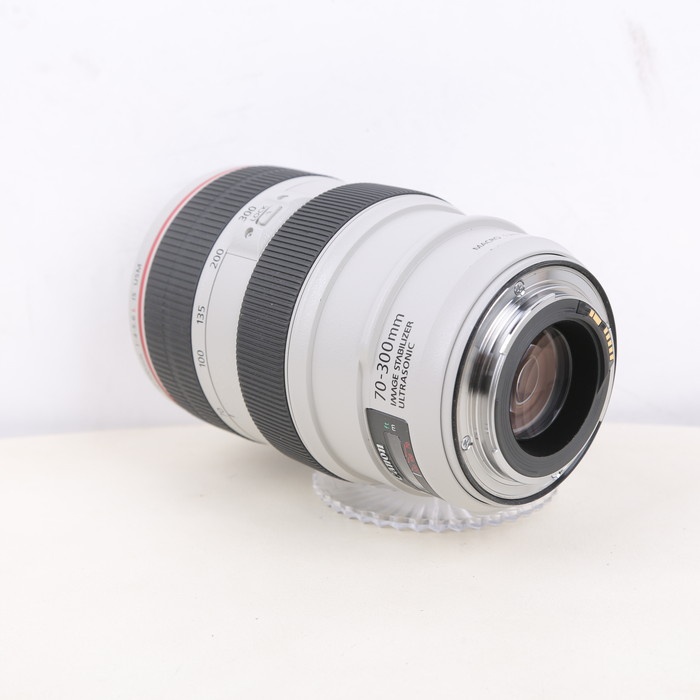 キヤノン EF70-300/F4-5.6L IS USM