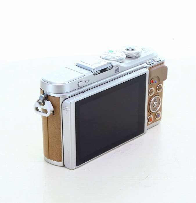 オリンパス E-PL9 ボデイ ブラウン