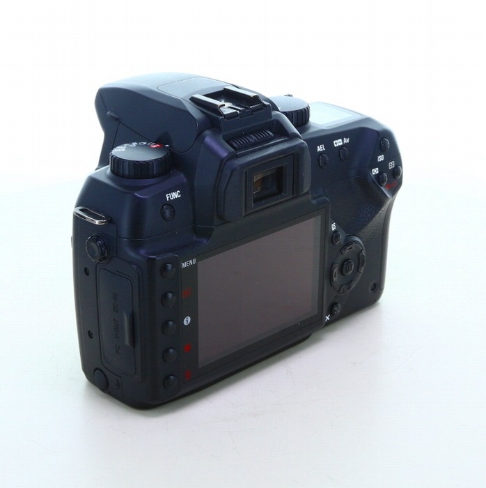 シグマ SD15 ボデイ