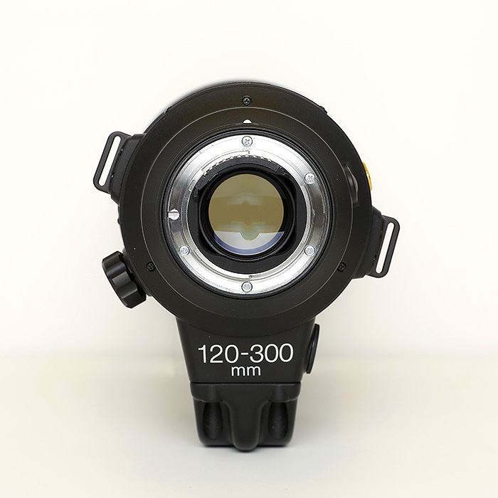 ニコン AF-S 120-300/2.8E FL ED SR VR