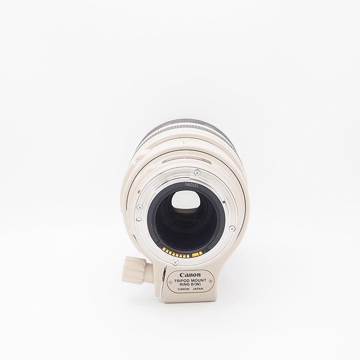 キヤノン EF100-400/4.5-5.6L IS USM