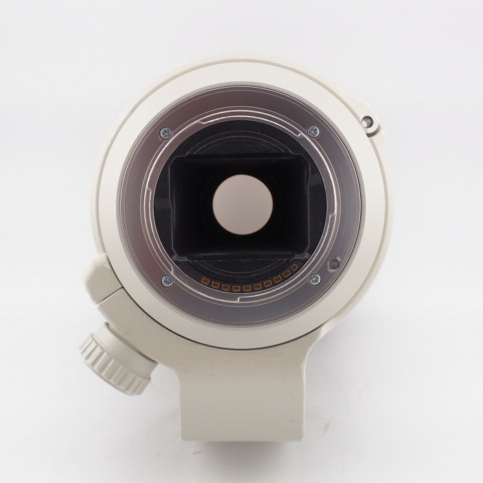 ソニー FE70-200/4 G OSS SEL70200G