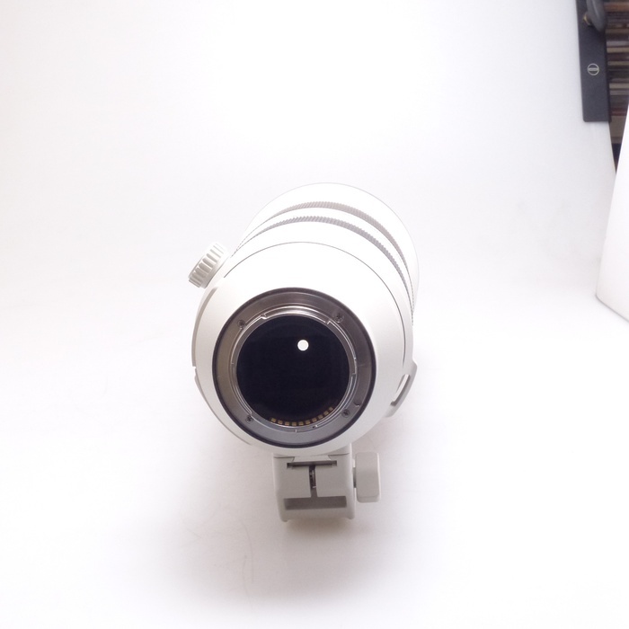 ソニー FE200-600/F5.6-6.3 G OSS