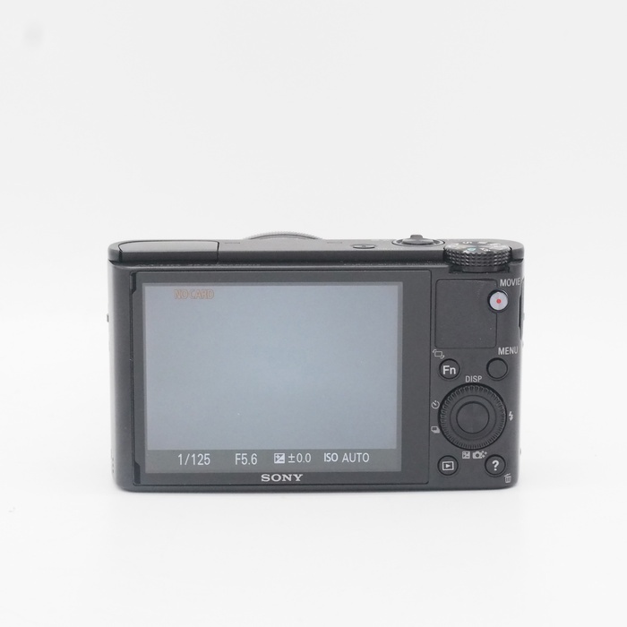 ソニー DSC-RX100