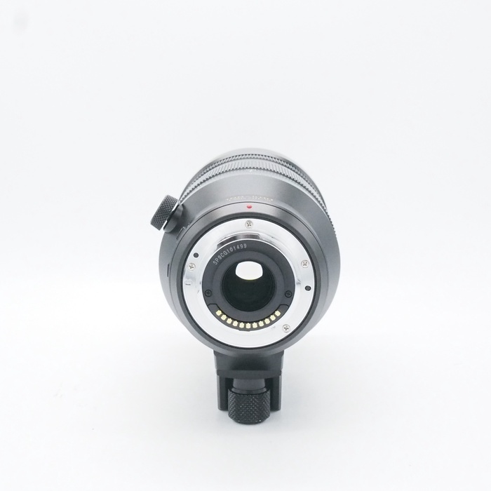 パナソニック DG VARIO-ELMAR 100-400/4.0-6.3 ASPH./POWER O.I.S. H-RS100400