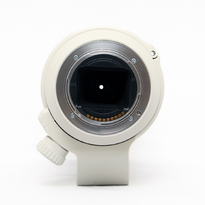 ソニー FE70-200/4 G OSS SEL70200G