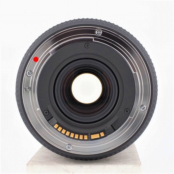 シグマ 12-24/F4.5-5.6 II DG HSM（EF）