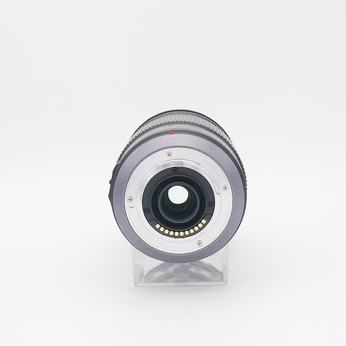 パナソニック G VARIO 100-300mm/F4.0-5.6/MEGA O.I.S.【H-FS100300】