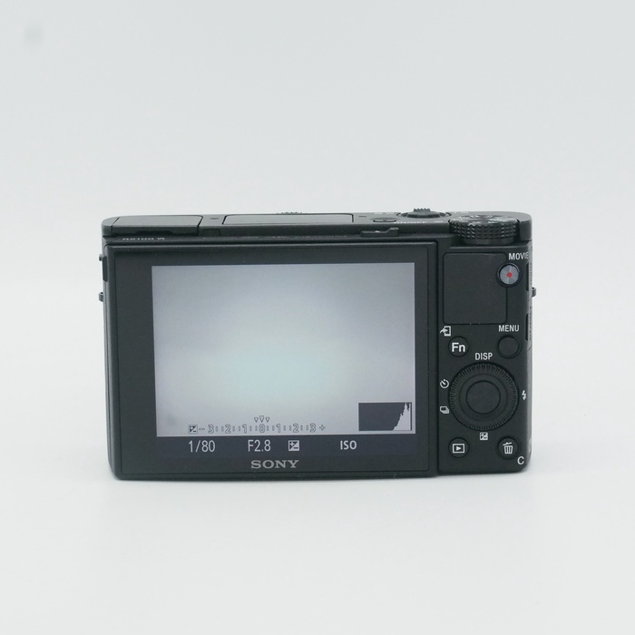 ソニー DSC-RX100M6