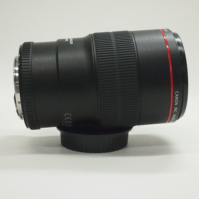 キヤノン EF100/2.8L マクロ IS USM