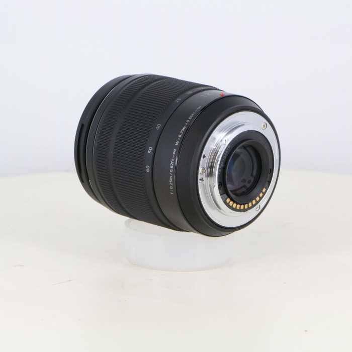 パナソニック LUMIX G VARIO12-60/3.5-5.6 ASPH. [H-FS12060]