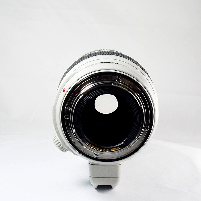 キヤノン EF100-400/4.5-5.6L IS II USM