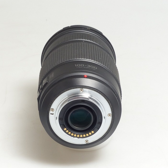 パナソニック G VARIO 100-300/4-5.6II （H-FSA100300）