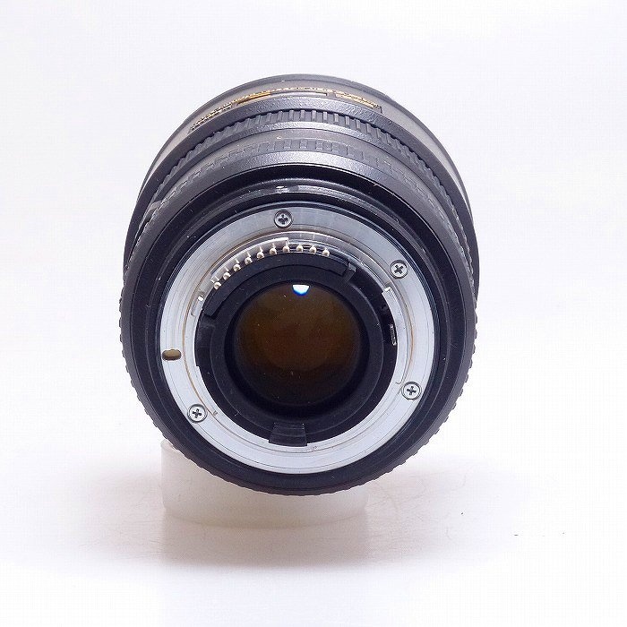 ニコン AF-S DX 17-55/2.8G IF-ED