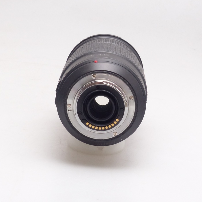 パナソニック G VARIO 100-300/F4.0-5.6 II POWER O.I.S. H-FSA100300