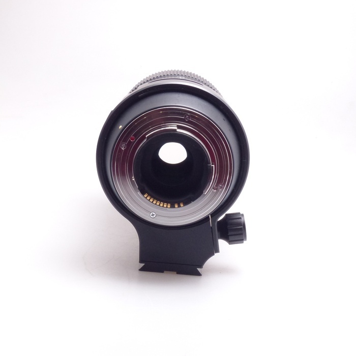 シグマ 100-400/5-6.3 DG OS HSM SA シグマSAマウント