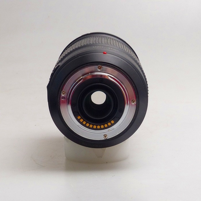 パナソニック G VARIO 100-300/4-5.6 II H-FSA100300