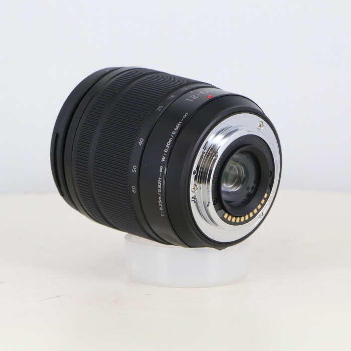 パナソニック Gバリオ12-60/3.5-5.6ASPH POWER OIS H-FS12060