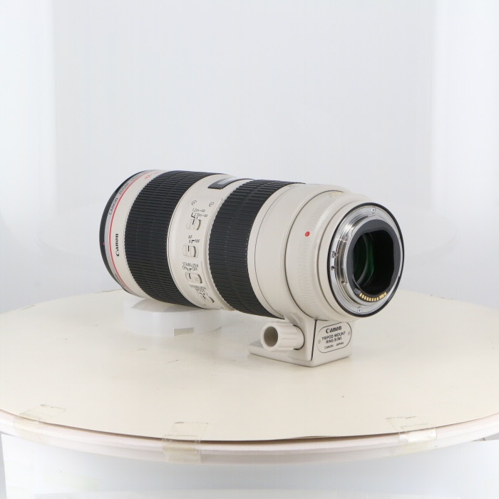 キヤノン EF70-200/2.8L IS II USM