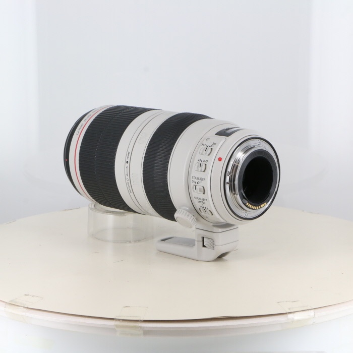 キヤノン EF100-400/4.5-5.6L IS II USM