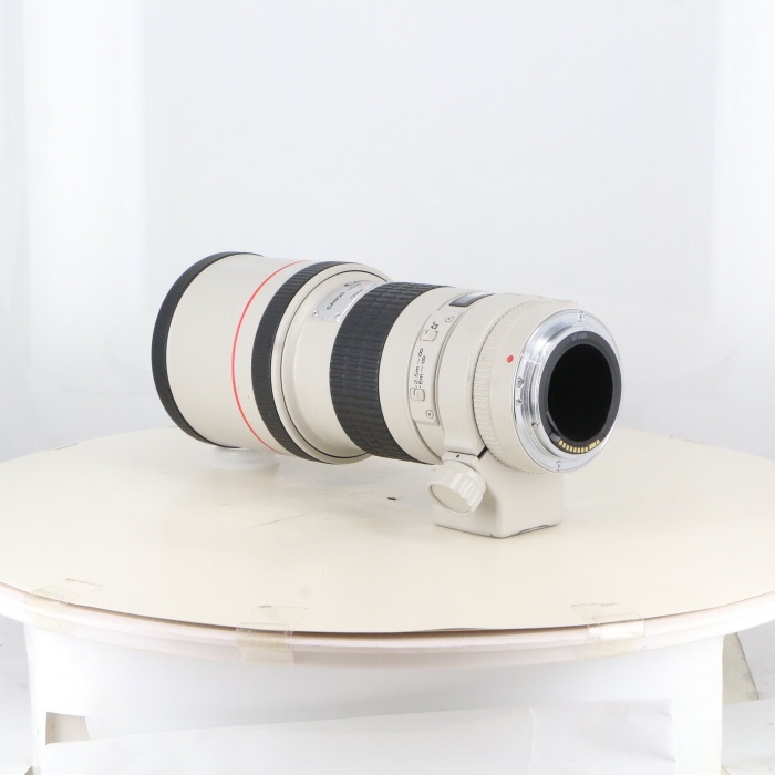 キヤノン EF300/4L USM