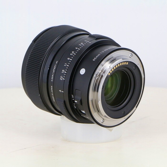 シグマ C65/2 DG DN TLマウント用