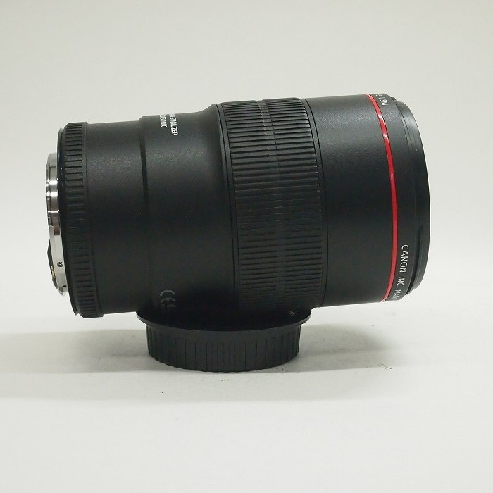 キヤノン EF100/F2.8L マクロ IS USM