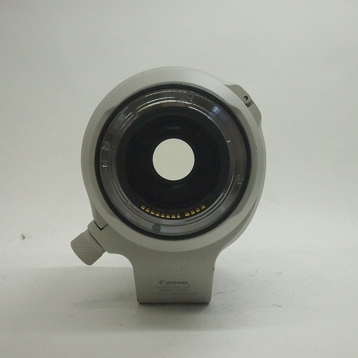 キヤノン RF70-200/2.8L IS USM
